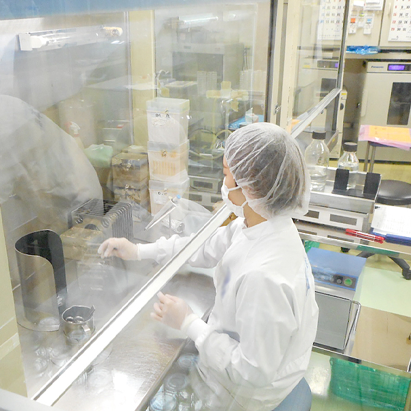 入社3年目 品質保証部 T.Nさん